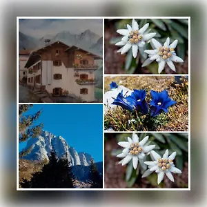 Dolomiti Ferienwohnung, Vacanze. San Pietro di Cadore